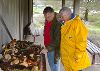 visitors at the tables